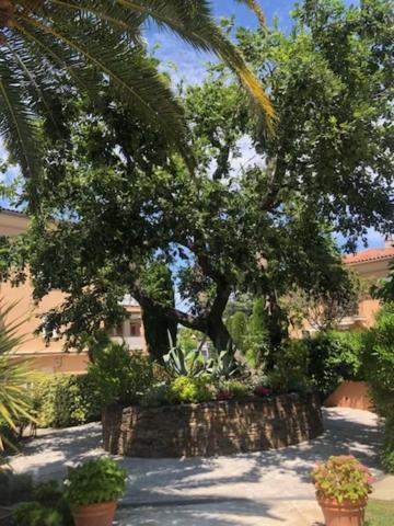 Belle Residence Au Centre De Saint Tropez Avec Piscine Et Garage Ngoại thất bức ảnh